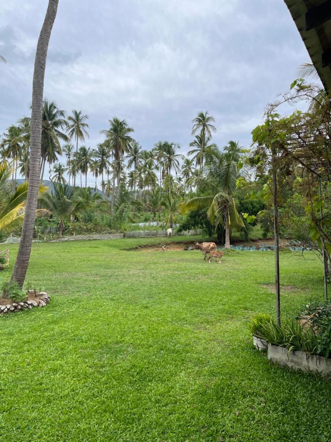 Rivendell Twisted Tree Villa Kurunegala Exterior foto
